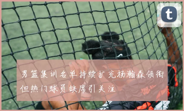 男篮集训名单持续扩充杨瀚森领衔但热门球员缺席引关注