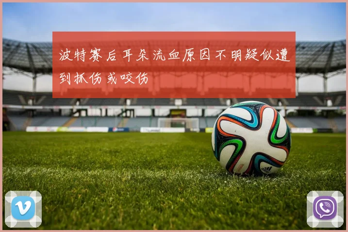 波特赛后耳朵流血原因不明疑似遭到抓伤或咬伤